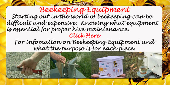 UGA Beekeeping Equipment