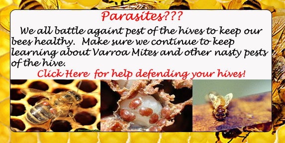 Honeybee parasites