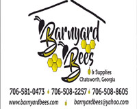 Barnyard Bee's Youtube Video