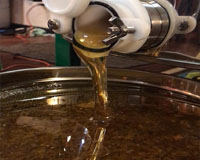 Jerome Bee Farm Honey Extraction Youtube Video